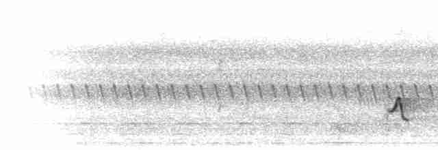 Uzun Gagalı Afrika Terzikuşu - ML280465