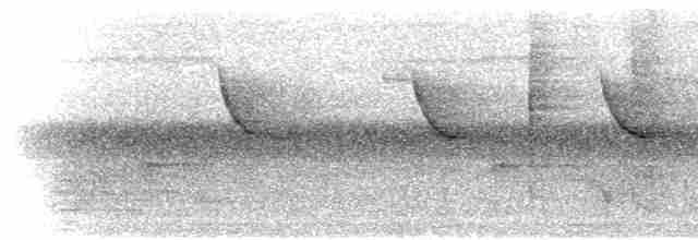 Краснополосая нектарница - ML280484