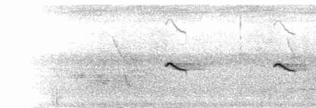 Чёрно-белая муния (nigriceps/woltersi) - ML280489