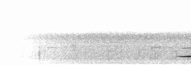 Akça Kanatlı Batis (mixta) - ML280510