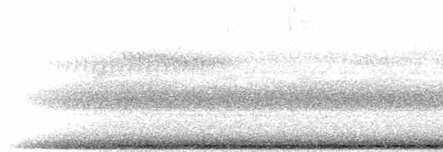 Пугач гвінейський (підвид vosseleri) - ML280514