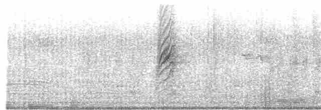 白胸燕鵙 - ML280522751