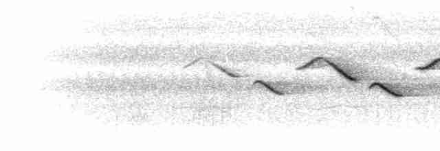 Cabanis's Bunting (Three-streaked) - ML280526