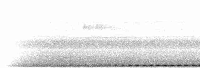 Пугач гвінейський (підвид vosseleri) - ML280532