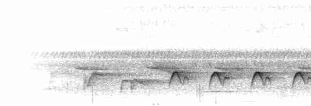 svarthodeapalis - ML280597