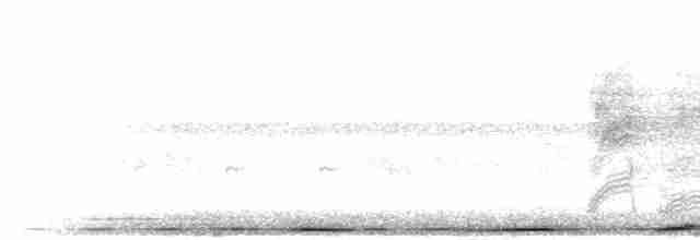 holub slézovoprsý - ML280599
