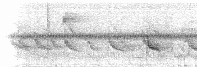 Килиманджарская белоглазка - ML280602