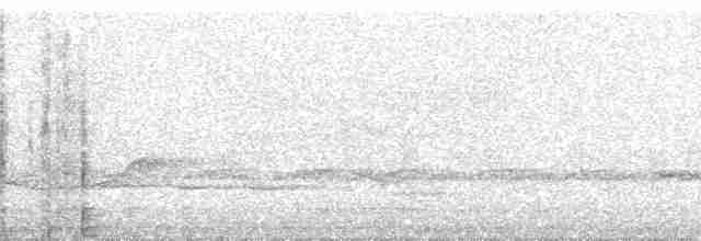Гонолек східний (підвид fuelleborni) - ML28065