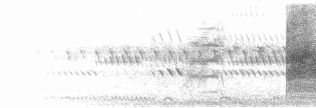 Сорокопуд савановий - ML280662