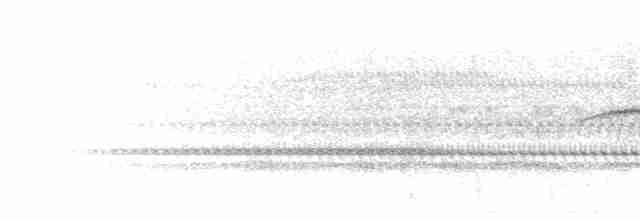 Kızılca Kaşlı Sinekkapan - ML280682