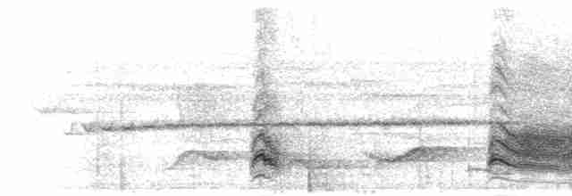 Maun Başlıklı Gevezeardıç - ML280690