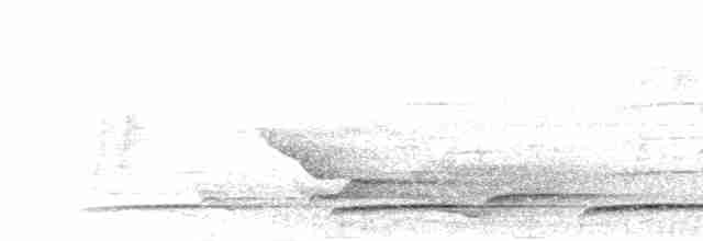 Куріпка сіровола - ML280692