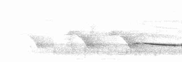 Чагарниця каштановоголова - ML280693