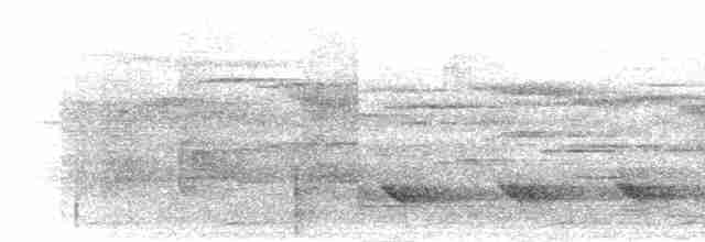 Малайская лесная куропатка - ML280744