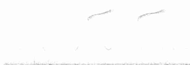 Spotted Quail-thrush - ML280759611