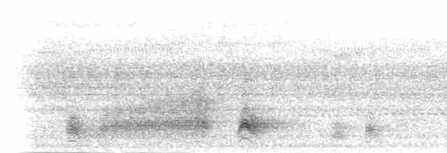 Белокрылая кустарница - ML280765