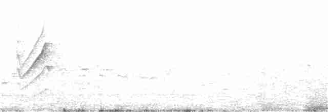 Длиннохвостая нектарница - ML280768161