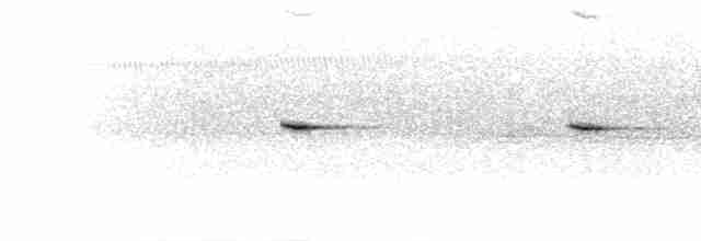 Сероспинная вилохвостка - ML280773
