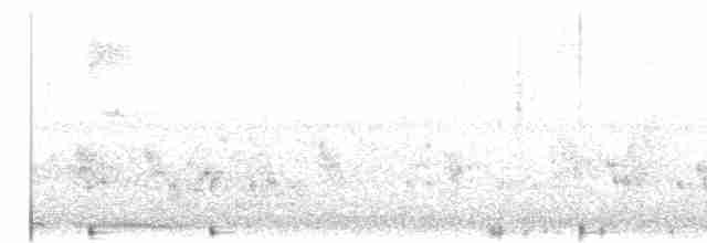 Little Grebe (Little) - ML280775101