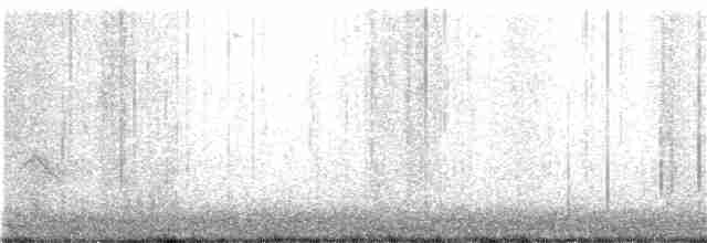 Evening Grosbeak (type 3) - ML280796501