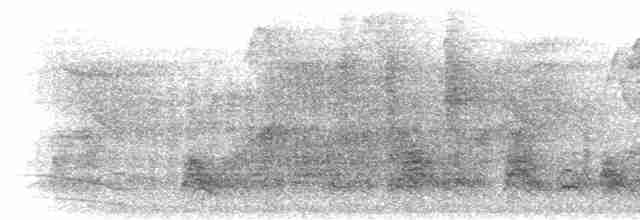 Белокрылая кустарница - ML280829