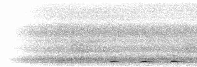 Бородастик чорнобровий - ML280868