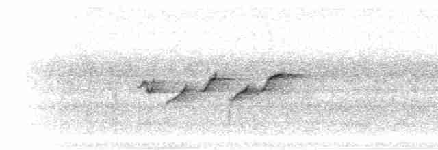 Gri Başlı Kanarya Sinekkapanı - ML280871