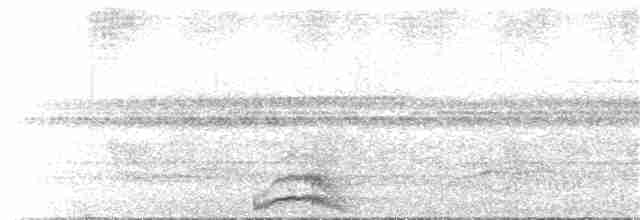 Bändernachtschwalbe - ML280921611