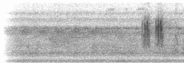 Strichelbrustbülbül - ML280954