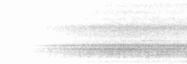 Полосатый зимородок - ML280960