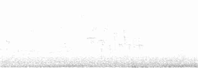gulparula (aestiva gr.) - ML28104741