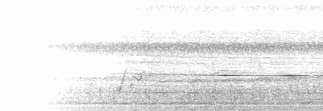 Diard Trogonu - ML281055