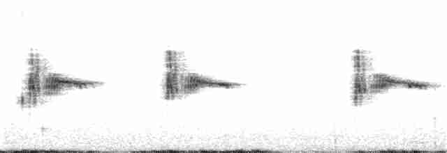 Kaya Çıtkuşu - ML281068431
