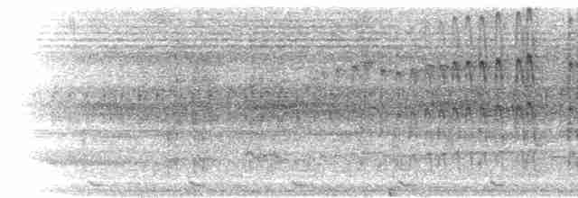 Дятел-коротун смугастокрилий - ML281098