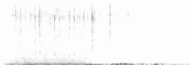 turpan pestrozobý - ML281104261