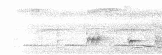 Kara Boğazlı Çalı Timalyası - ML281106