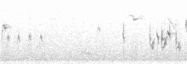 Белогорлая зонотрихия - ML281236121