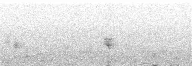 Bulbul des Ghats - ML281265521