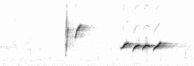 hvitbrynkrattskvett (leucoptera gr.) - ML28128701