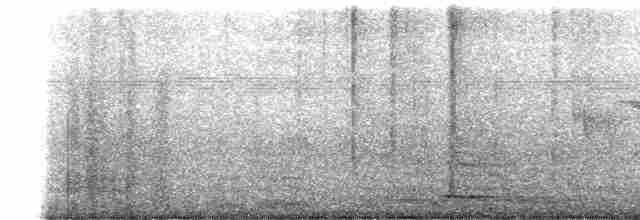 White-tailed Nightjar - ML281288091