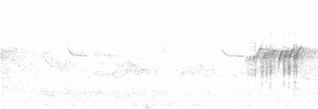 Личинкоїд сірий - ML281319
