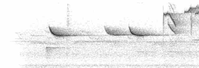 Çam Baştankarası - ML281351