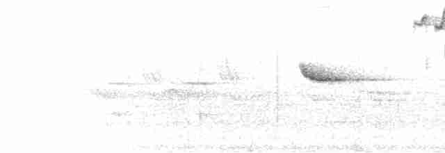 Çam Baştankarası - ML281352