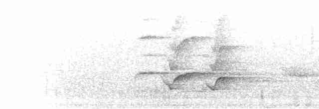 Bulbul Orejipardo - ML281355