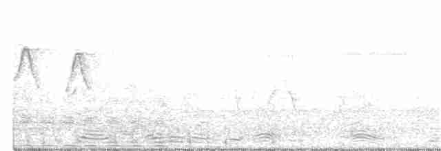 White-browed Scrubwren - ML281378201