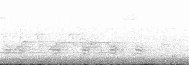Evening Grosbeak (type 3) - ML281438931