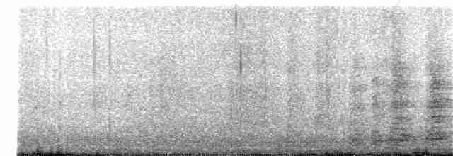 Black-crowned Night Heron - ML281486991