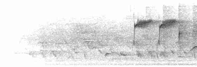 Mésange d'Owston - ML281521