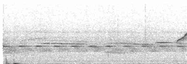 Тиран-карлик амазонійський - ML281523601