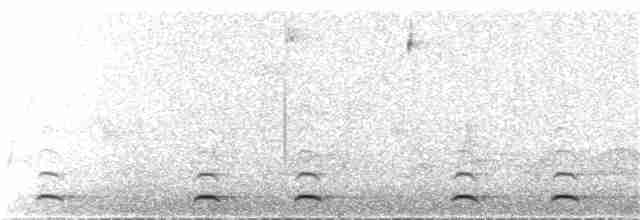 Chevêchette naine - ML28154981